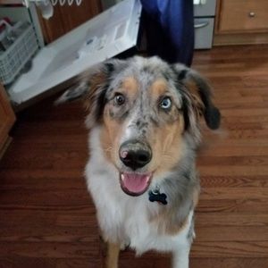 Meet your Posher, Randi